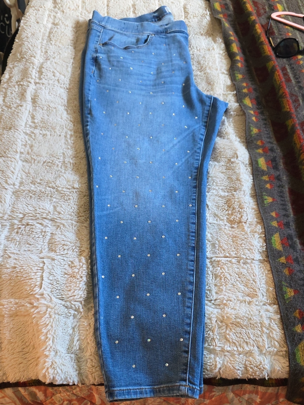 Blue Jean Jeggings Embellished
